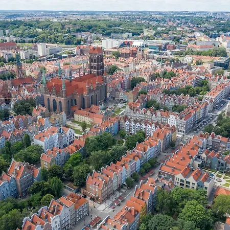 Billberry - Golden * Gdansk